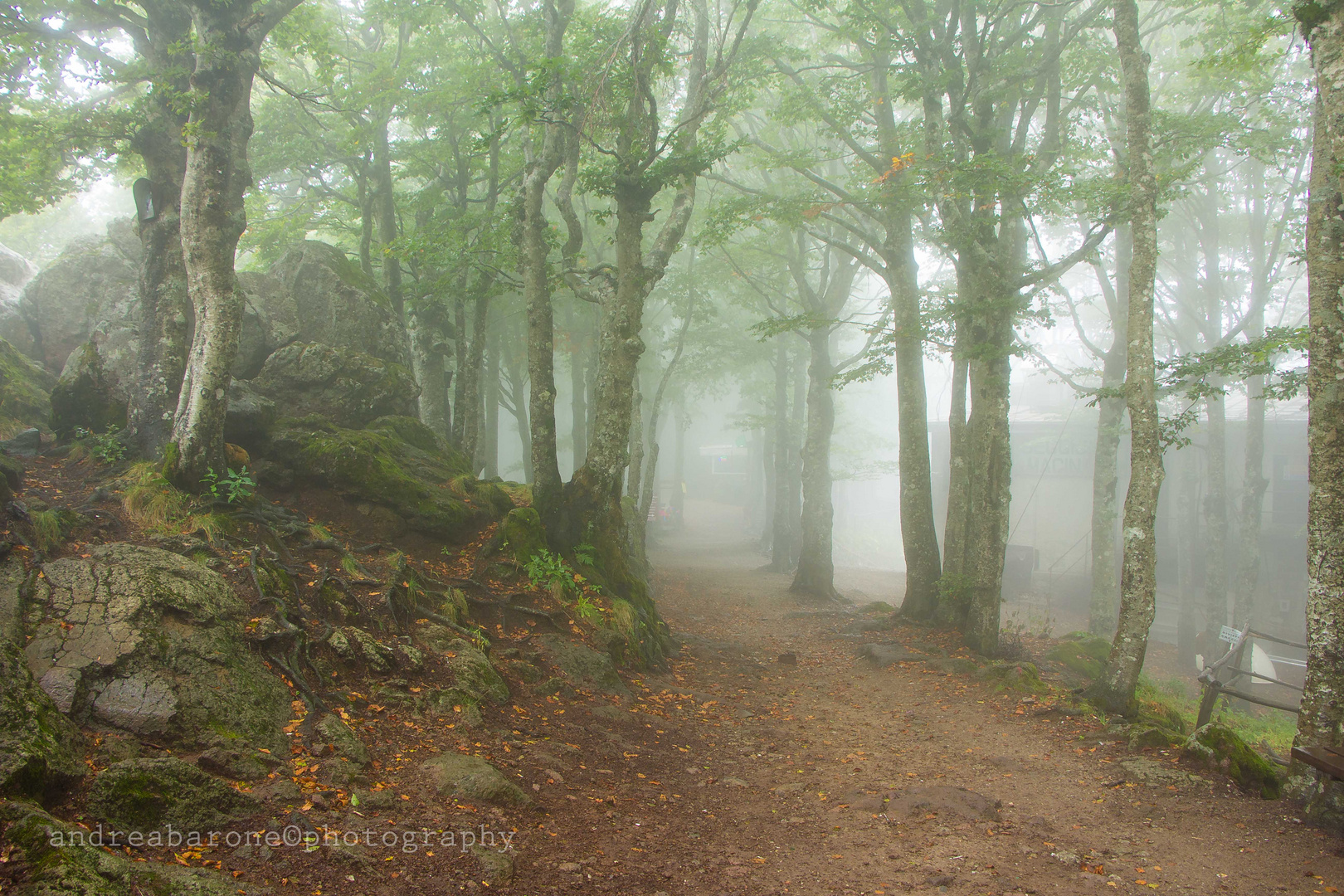 Paesaggio fantasy