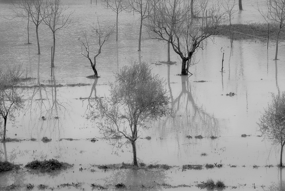 Paesaggio fluviale in inverno