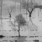 Paesaggio fluviale in inverno