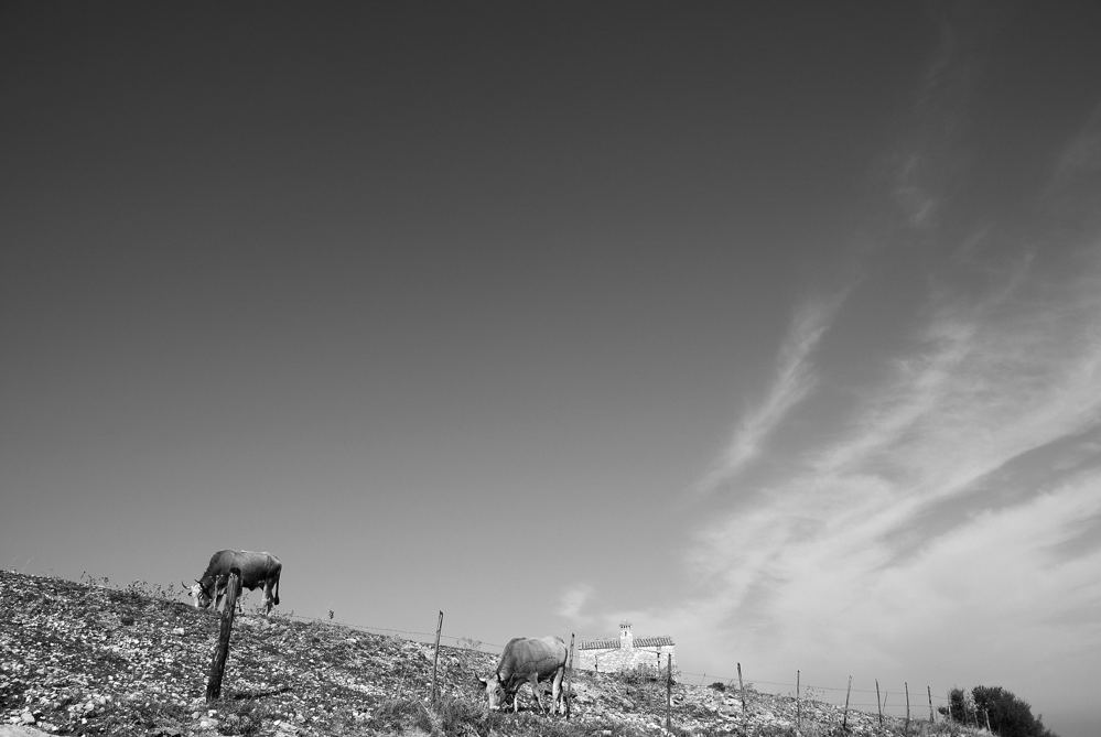 Paesaggio garganico