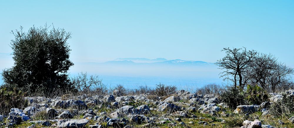 Paesaggio garganico