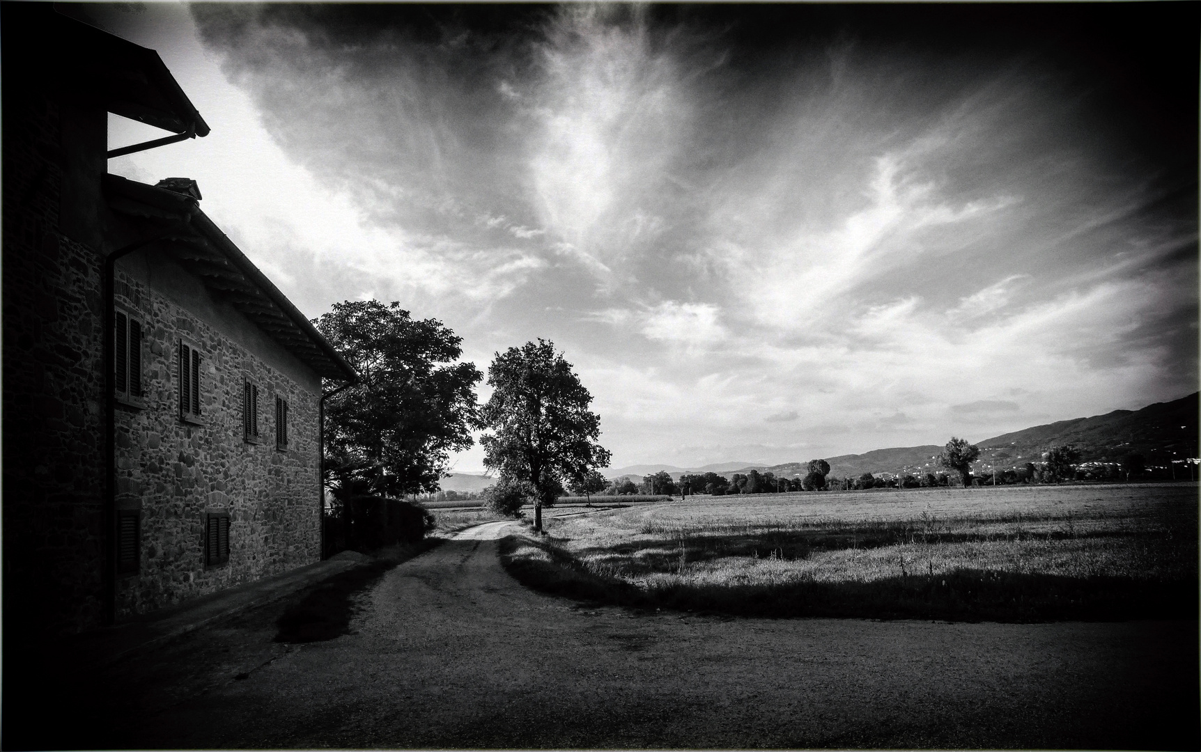 paesaggio in bianco e nero