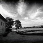 paesaggio in bianco e nero