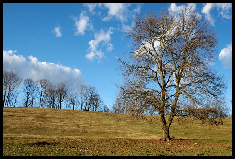 Paesaggio invernale.