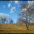 Paesaggio invernale.