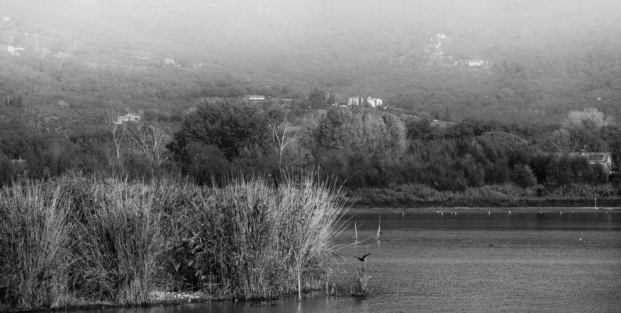 paesaggio invernale