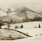 Paesaggio invernale