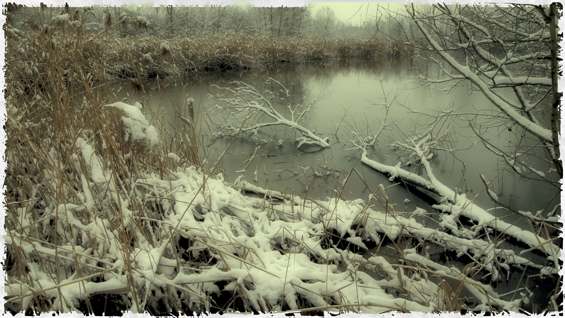 Paesaggio invernale