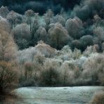 Paesaggio invernale