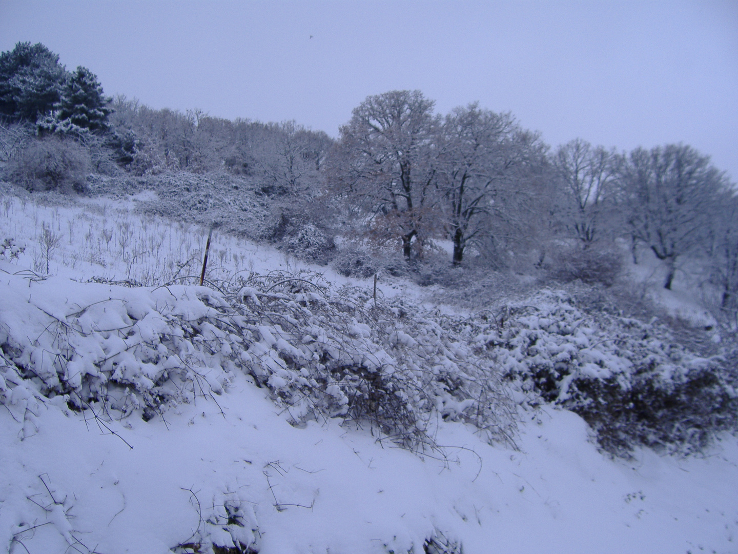 paesaggio invernale