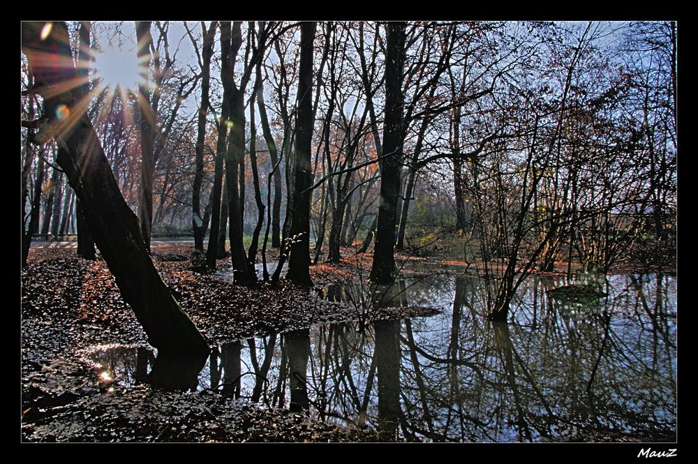 ... Paesaggio invernale cittadino.....