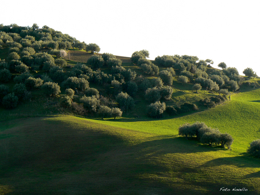 Paesaggio Leonfortese.