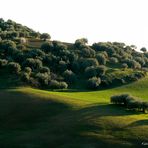 Paesaggio Leonfortese.