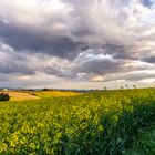 Paesaggio Marchigiano