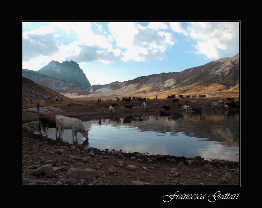 Paesaggio montano