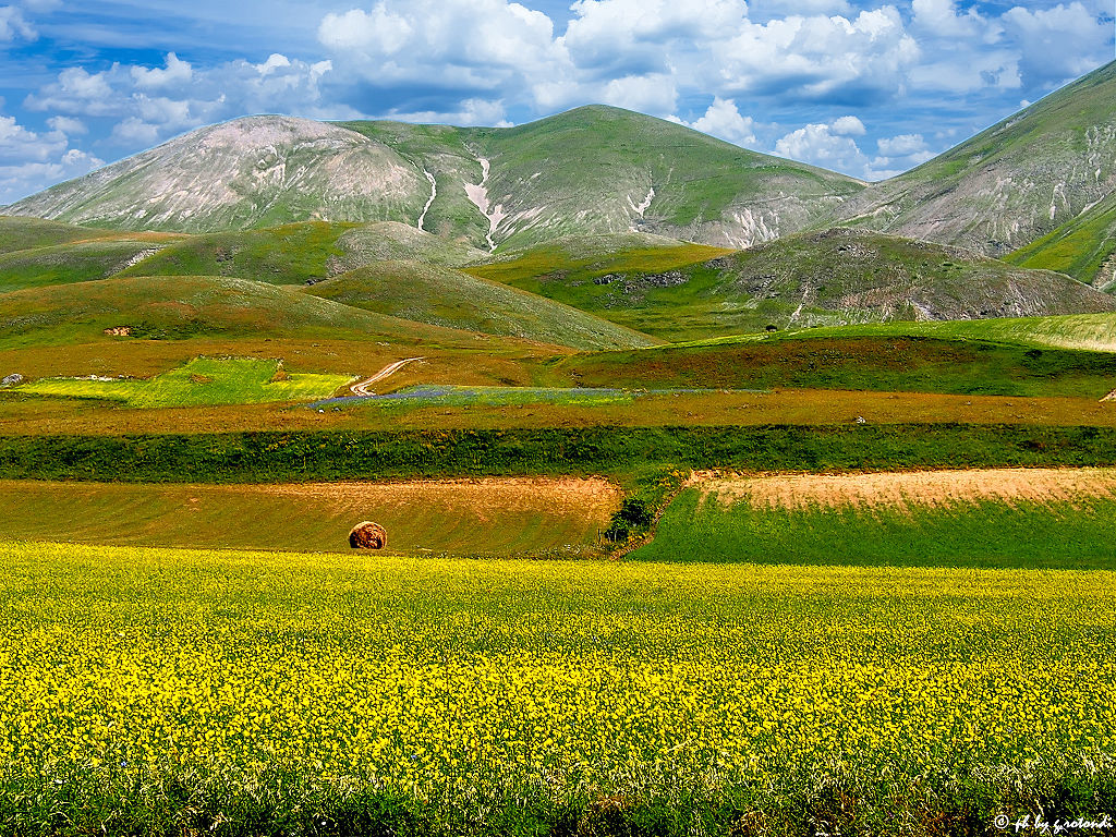 Paesaggio montano