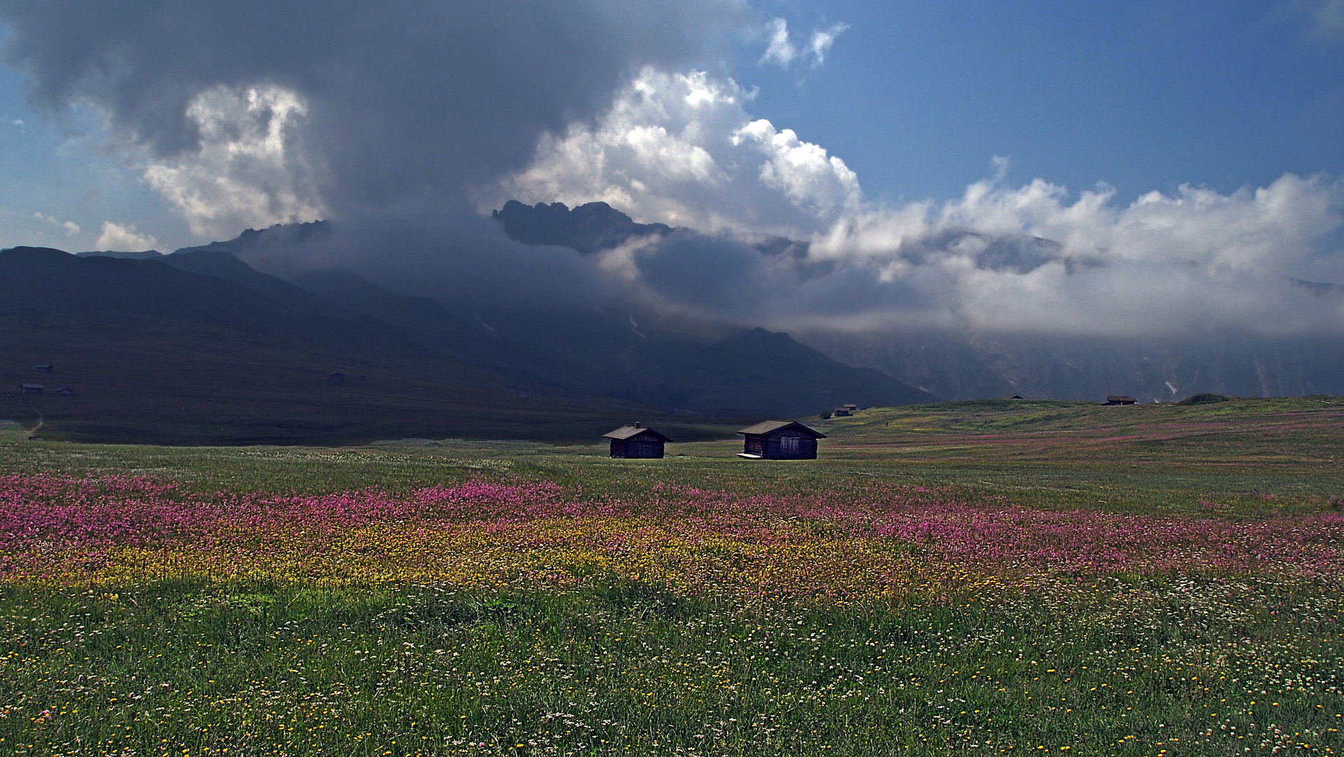 Paesaggio montano