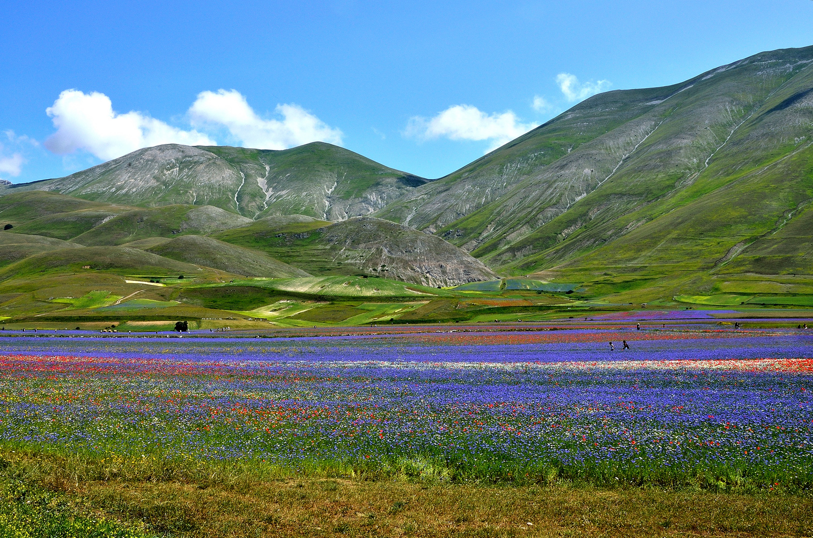 Paesaggio montano