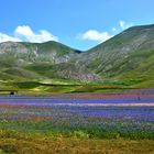 Paesaggio montano