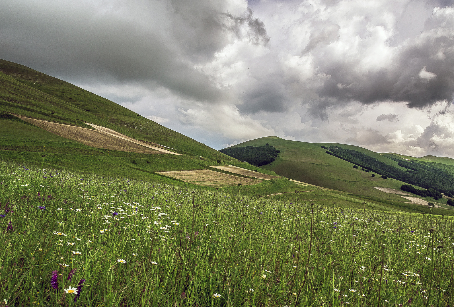 Paesaggio montano