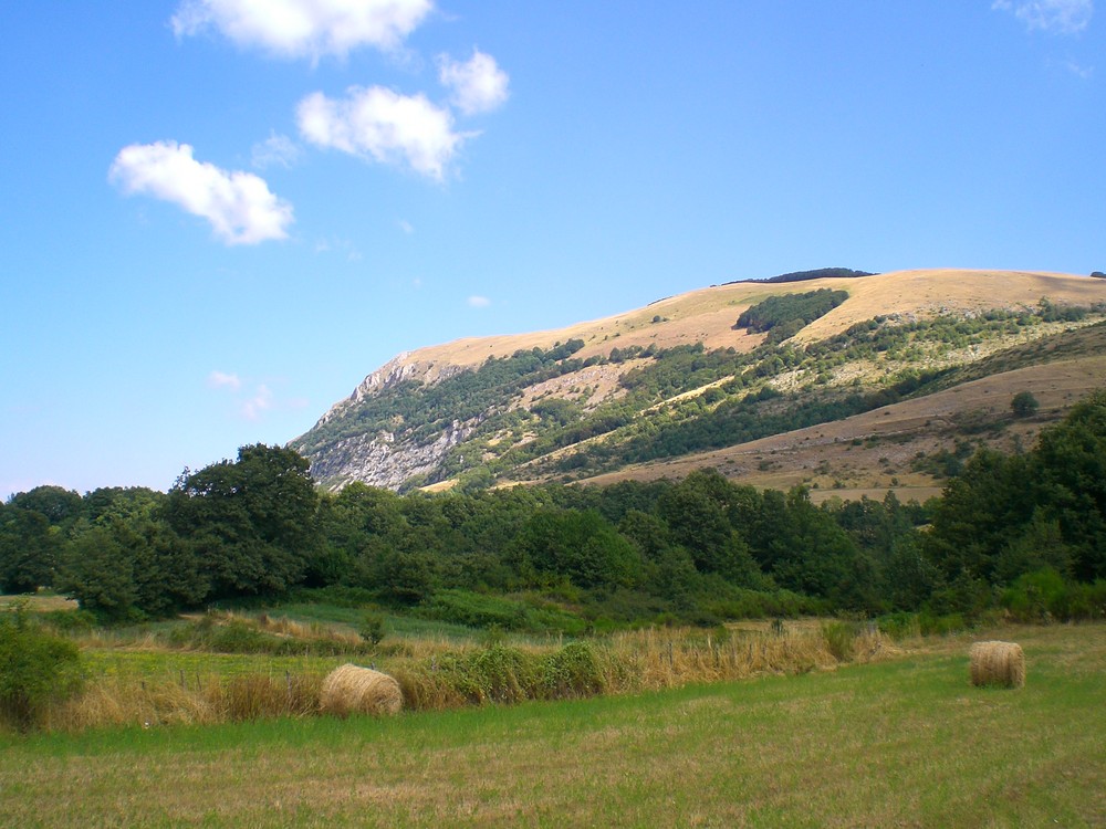 Paesaggio montano in estate