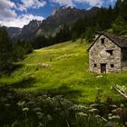 Paesaggio nel Parco  Naturale Veglia Devero 06/22 1