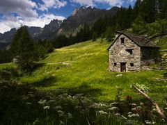 Paesaggio nel Parco  Naturale Veglia Devero 06/22 1