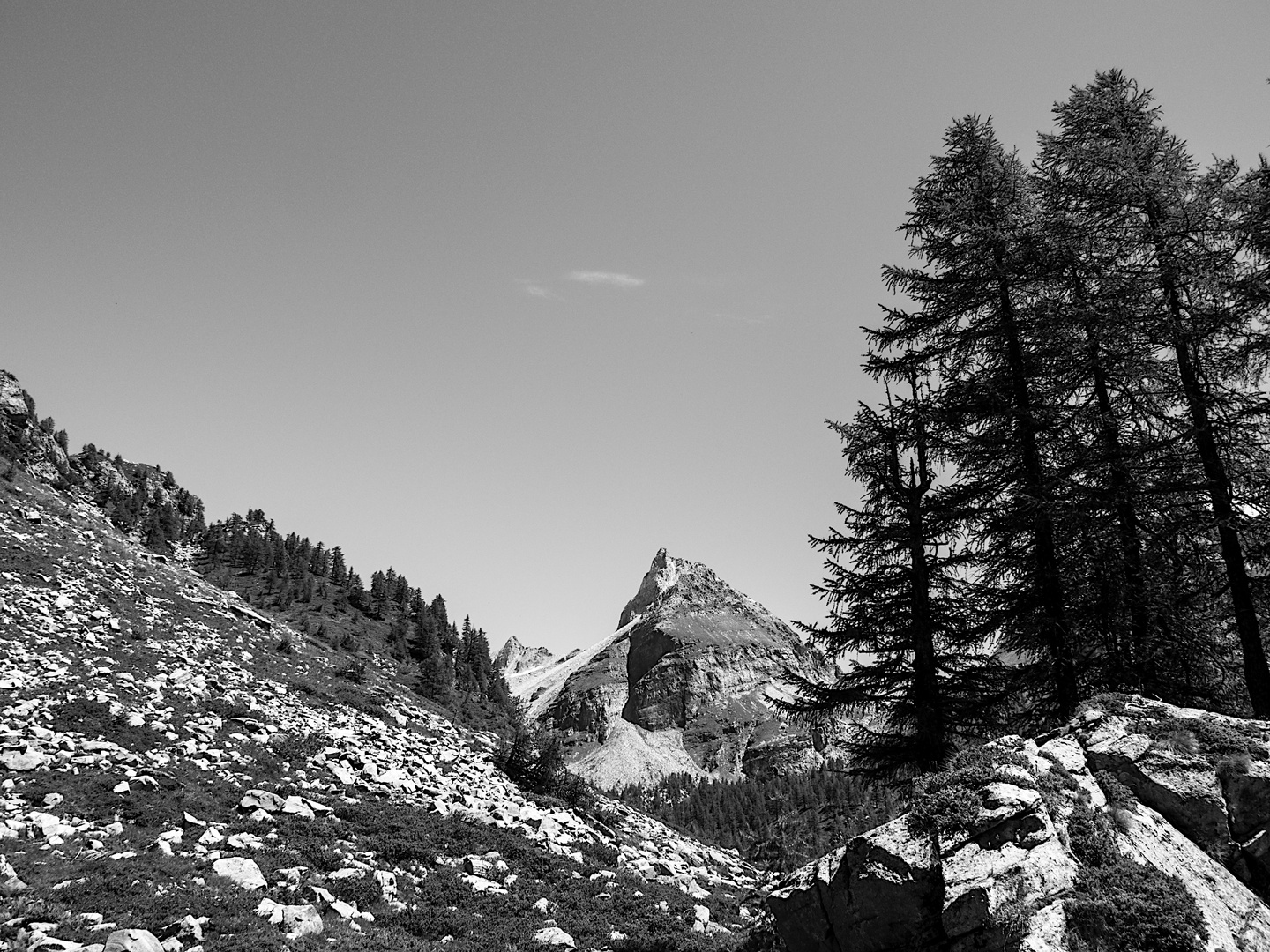 PAESAGGIO NEL PARCO VEGLIA-DEVERO