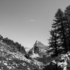 PAESAGGIO NEL PARCO VEGLIA-DEVERO