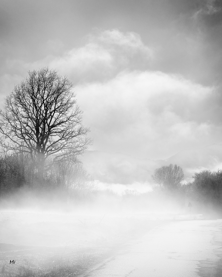 Paesaggio nella nebbia 