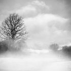 Paesaggio nella nebbia 