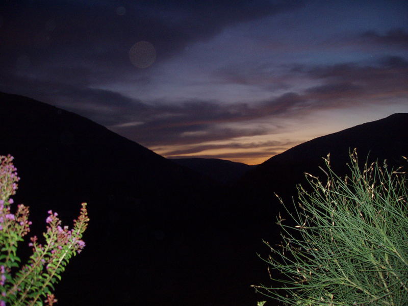 paesaggio notturno