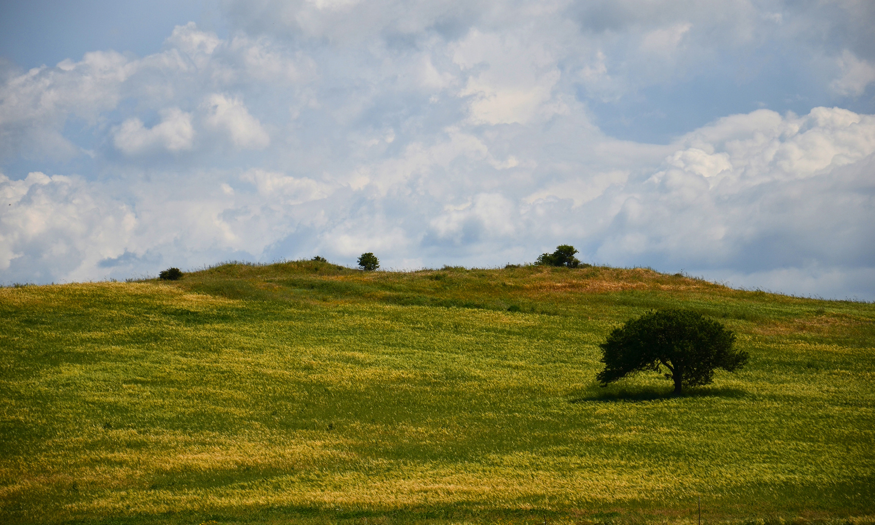 paesaggio pittorico - Sardegna