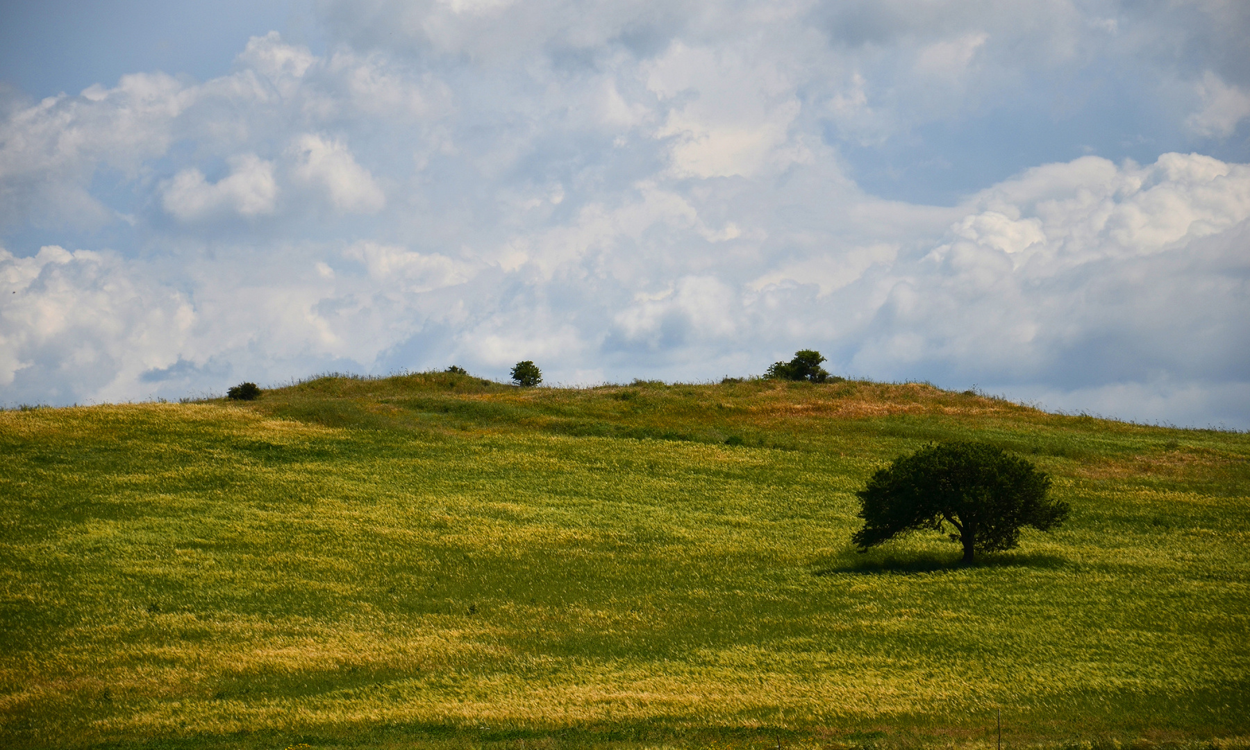 paesaggio pittorico - Sardegna