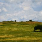 paesaggio pittorico - Sardegna