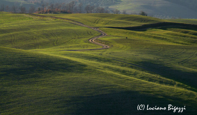 paesaggio primaverile