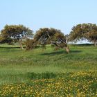 Paesaggio primaverile