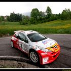 paesaggio Rally