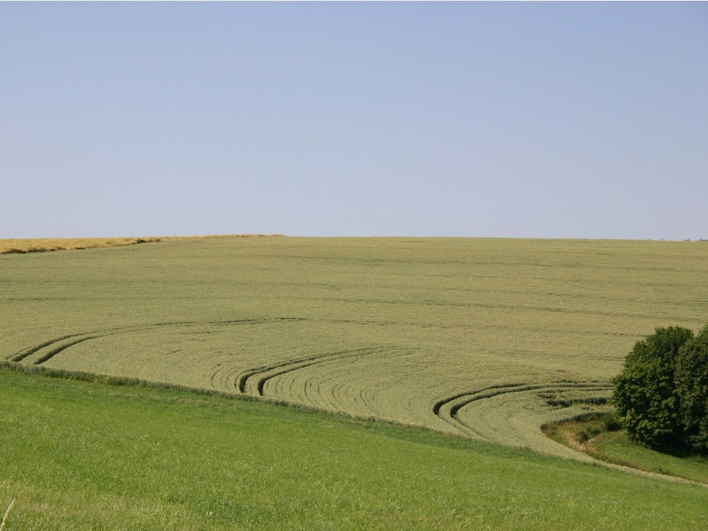 Paesaggio rurale