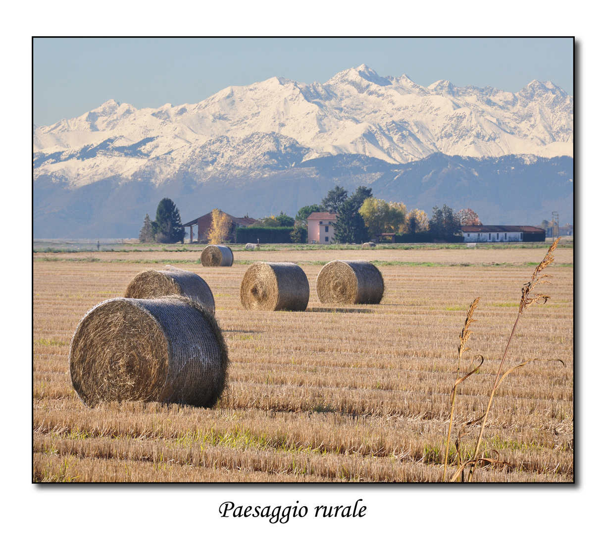 Paesaggio rurale