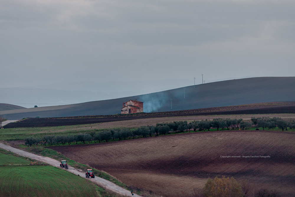 Paesaggio Rurale