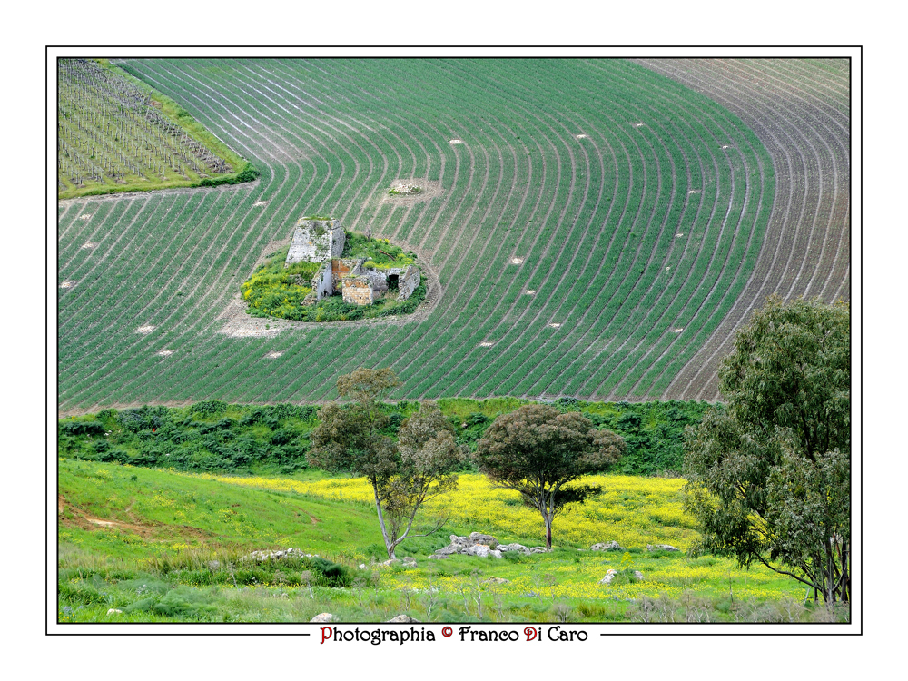 Paesaggio Rurale