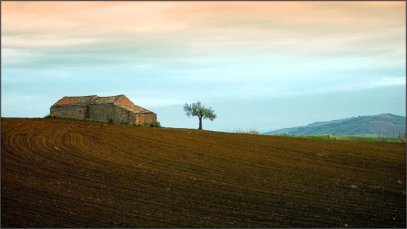 Paesaggio rurale