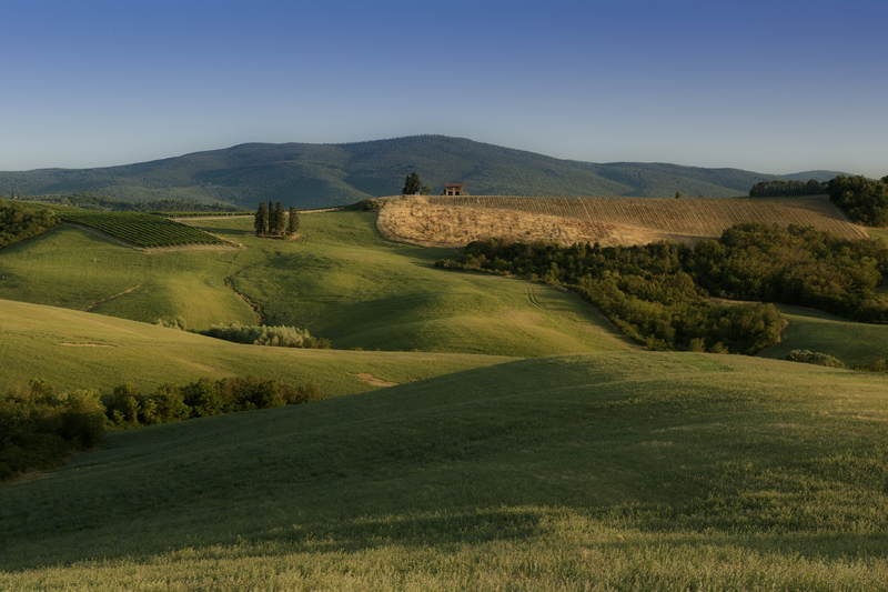 paesaggio senese 2