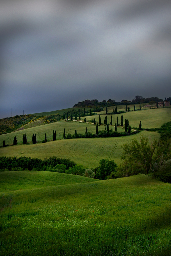 paesaggio senese