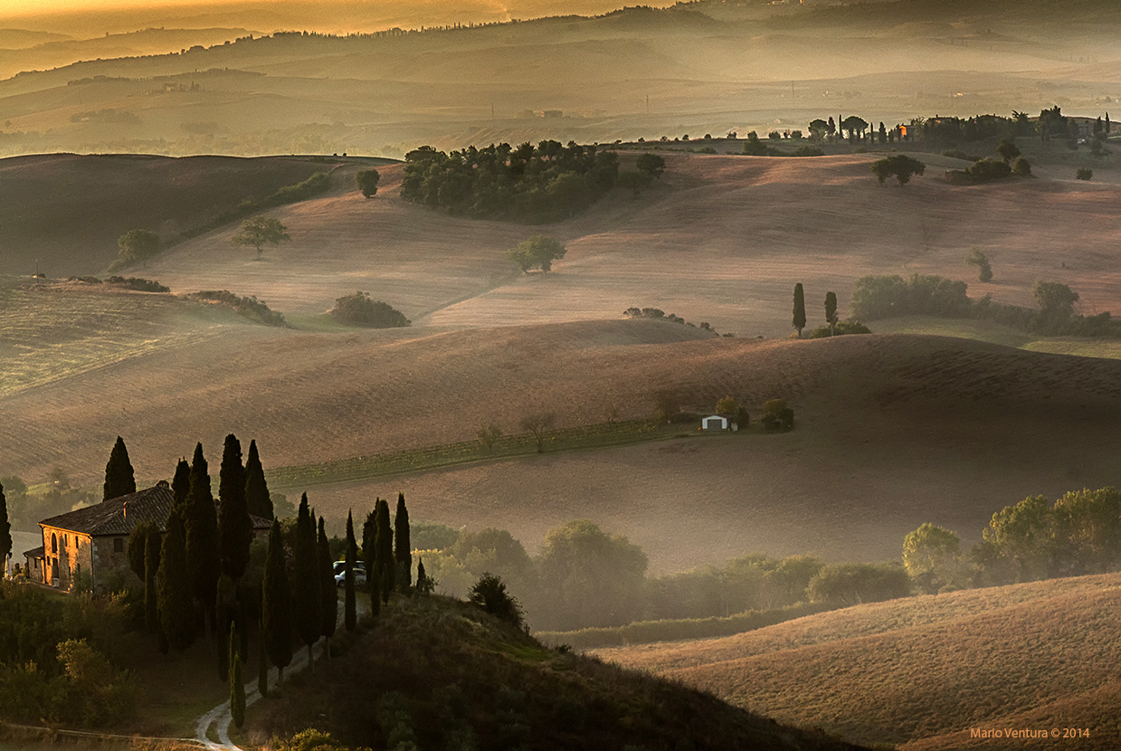 Paesaggio senese all'alba