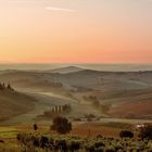 Paesaggio senese all'alba 