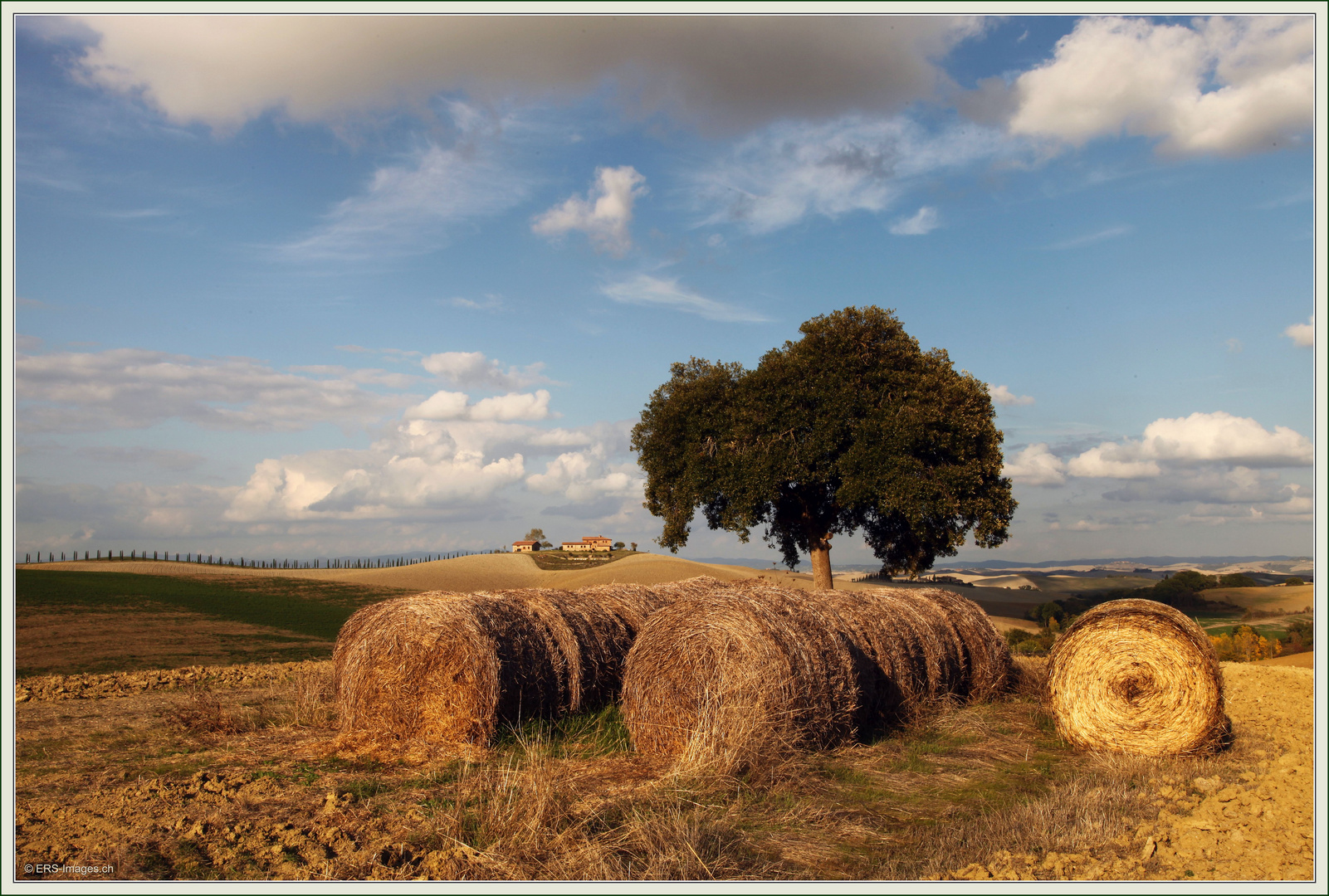 Paesaggio Senese Toscana © 2017-10-12 152 (101)         Strada Provinciale di Grotti