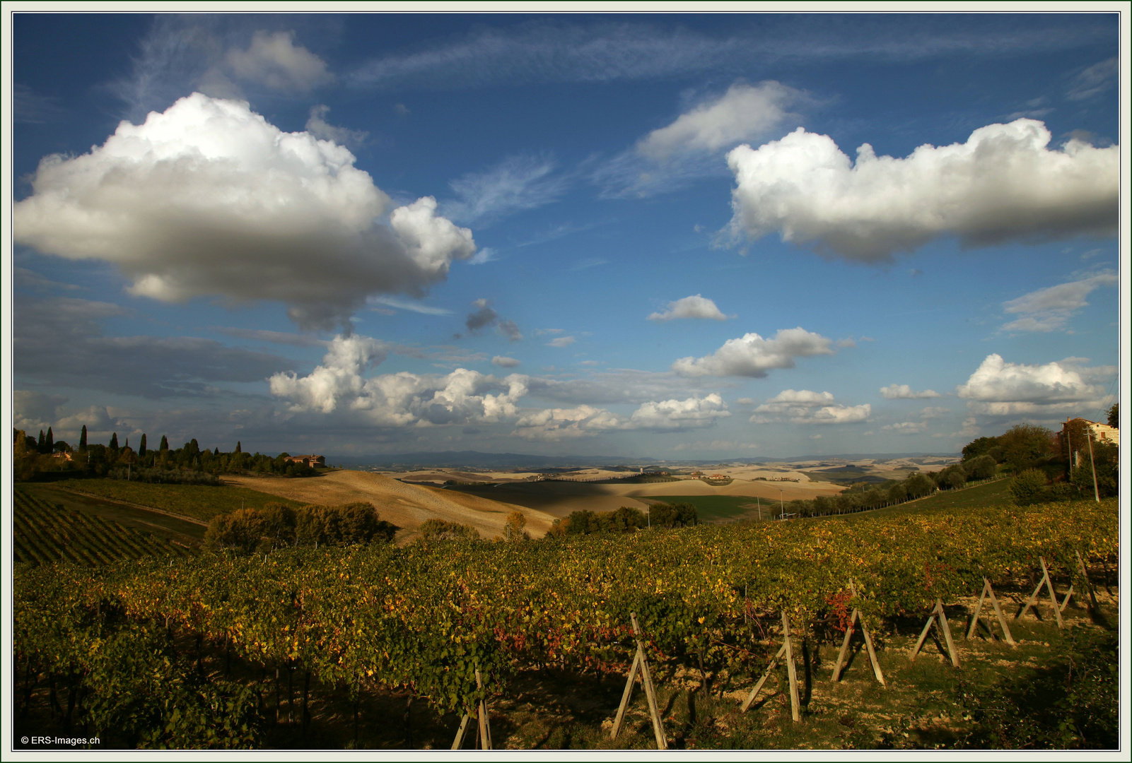 Paesaggio Senese Toscana ©2017-10-12 152 (90)