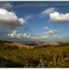 Paesaggio Senese Toscana ©2017-10-12 152 (90)